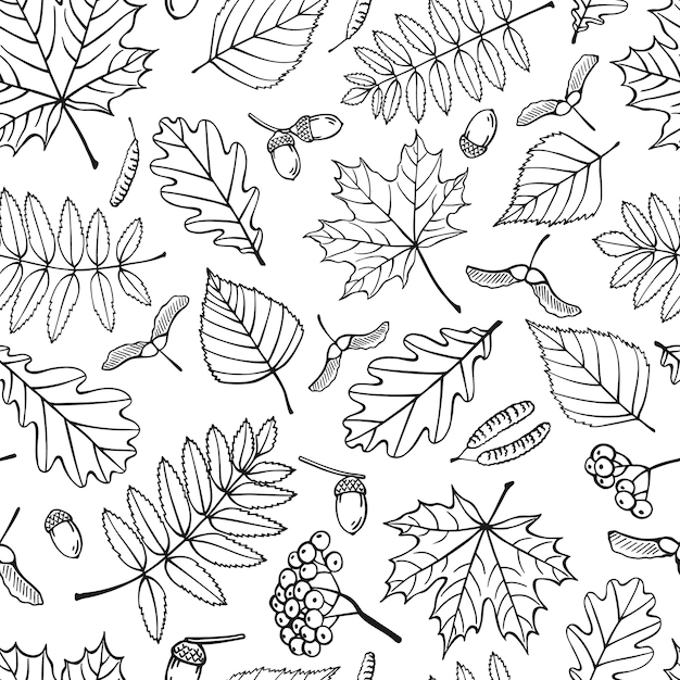 Vecteur modèle sans couture avec des feuilles d'automne illustration vectorielle dessinés à la main