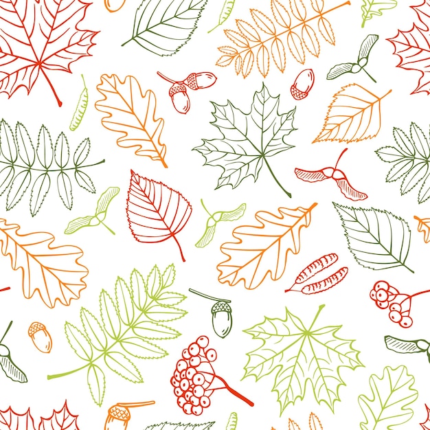 Modèle sans couture avec des feuilles d'automne Illustration vectorielle dessinés à la main