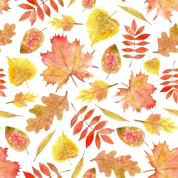 Modèle sans couture de feuilles d'automne. Plantes d'automne à l'aquarelle. Chêne jaune et feuille d'érable orange