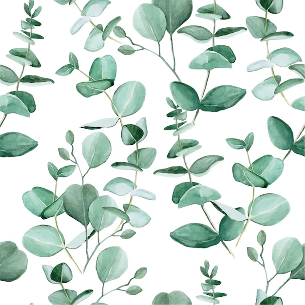 Modèle sans couture avec des feuilles d'eucalyptus aquarelle
