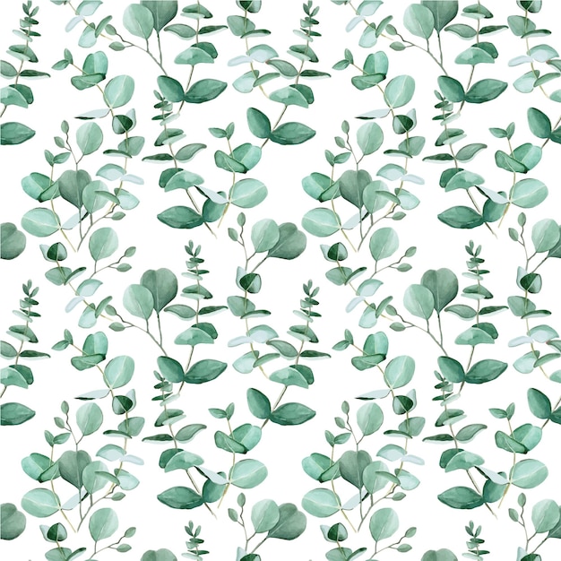 Vecteur modèle sans couture avec des feuilles d'eucalyptus aquarelles sur fond blanc feuilles vertes d'un tropical