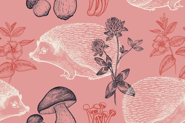 Modèle Sans Couture Avec Des Fleurs Et Des Champignons De Hérisson Animal