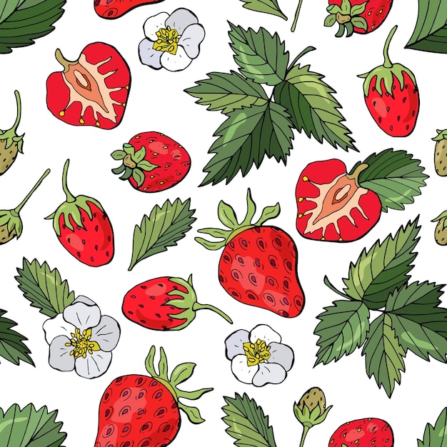 Modèle sans couture avec des fraises Style dessiné à la main Design pour tissus textiles papiers peints