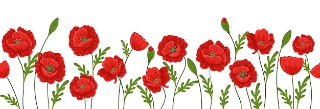 Modèle sans couture horizontale de vecteur avec des coquelicots rouges sur fond blanc Belle fleur d'été