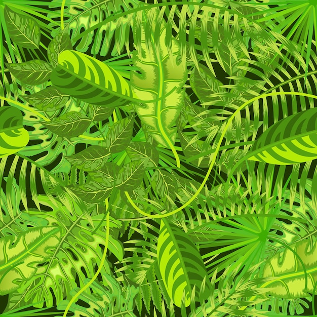 Modèle sans couture avec illustration vectorielle de feuilles tropicales exotiques