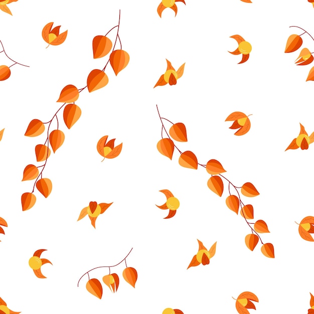 Modèle sans couture de lampe de poche physalis, papier peint orange de belles baies d'automne et feuilles de physalis.
