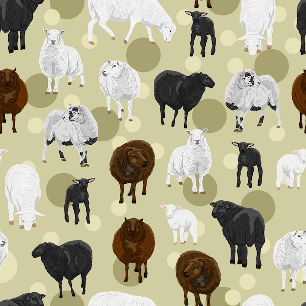 Modèle sans couture avec moutons et agneaux moelleux de différentes couleurs