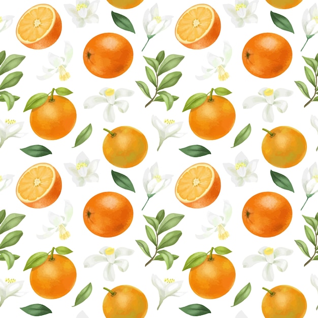 Modèle Sans Couture Avec Des Oranges Et Des Fleurs Orange Dessinés à La Main