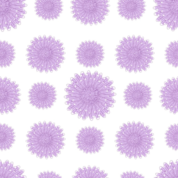 Vecteur modèle sans couture avec un ornement botanique d'asters violets isolé sur fond blanc pour l'impression sur papier peint de décoration textile sur le thème de la floraison dans le jardin