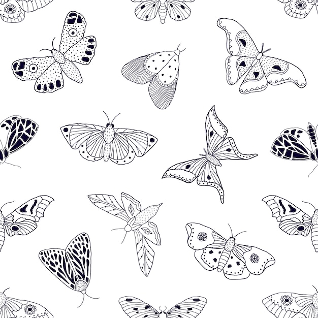 Modèle Sans Couture Avec Papillons Et Papillons Dessinés à La Main