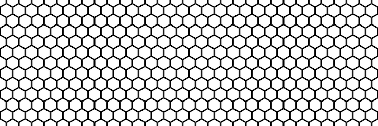 Vecteur modèle sans couture simple en nid d'abeille noir et blanc