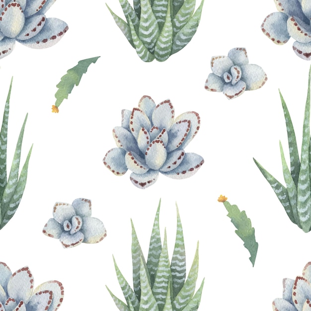 Modèle Sans Couture De Vecteur Aquarelle De Cactus Et De Plantes Succulentes Isolés Sur Fond Blanc