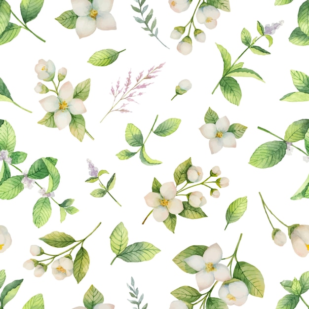 Modèle sans couture de vecteur aquarelle de fleurs et de branches de jasmin isolé sur fond blanc