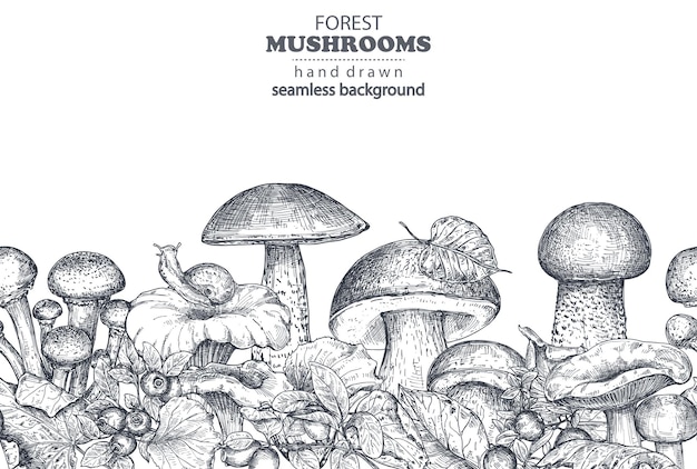 Vecteur modèle sans couture de vecteur avec des champignons forestiers dessinés à la main cèpes boletus russula avec des feuilles d'automne