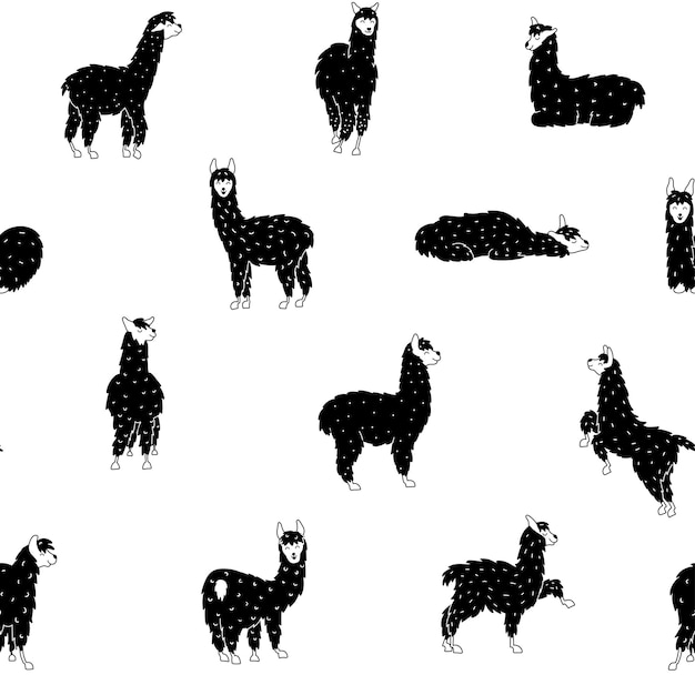 Vecteur modèle sans couture de vecteur de lama mignon. lama de bébé dessin animé isolé. pérou animal guanaco, alpaga, vigogne