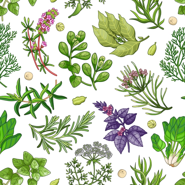 Vecteur modèle sans couture vert avec des herbes sur blanc