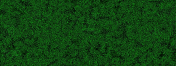 Vecteur modèle sans couture de vue de dessus de texture d'herbe de gazon vert