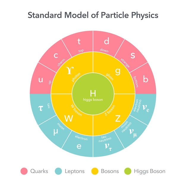 Vecteur modèle standard de graphique d'illustration vectorielle de la physique des particules