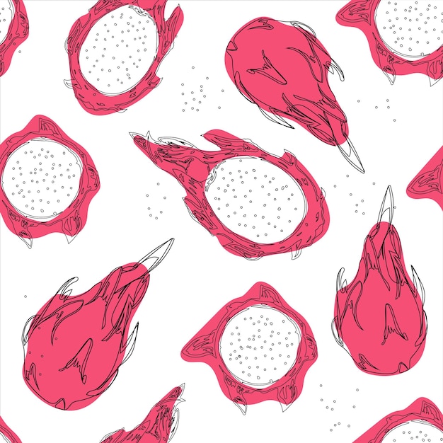 Modèle Tropical Abstrait De Vecteur Dessiné à La Main De Pitaya De Fruits Exotiques Illustration De La Ligne De Fruits Du Dragon