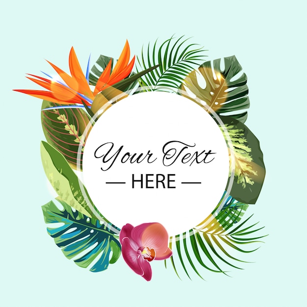 Modèle tropical de l&#39;été.