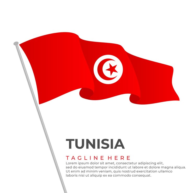 Vecteur modèle vecteur tunisie drapeau design moderne