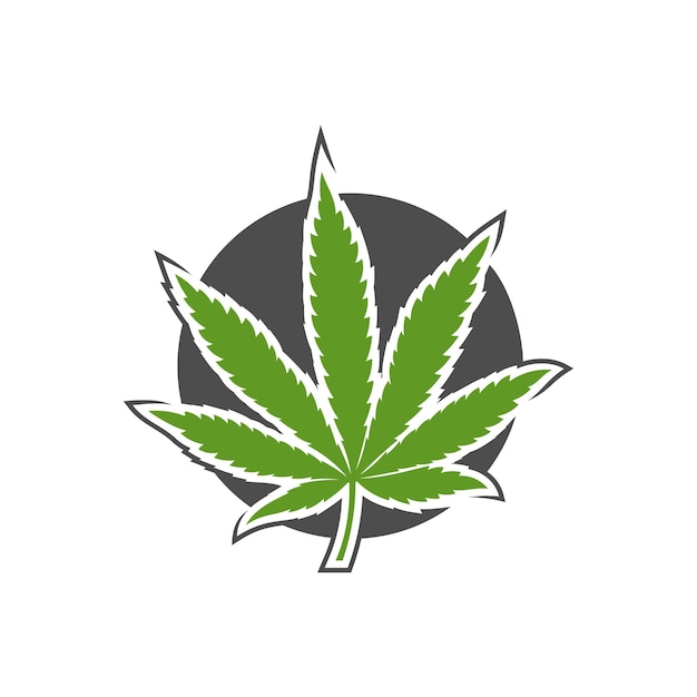 Modèle vectoriel de conception de logo de feuille de cannabis Cannabis créatif sur fond blanc