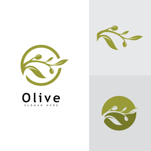 Modèle Vectoriel De Conception De Logo D'huile D'olive