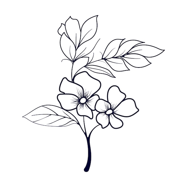 Vecteur modèle vectoriel de contour de fleur noire pour l'impression