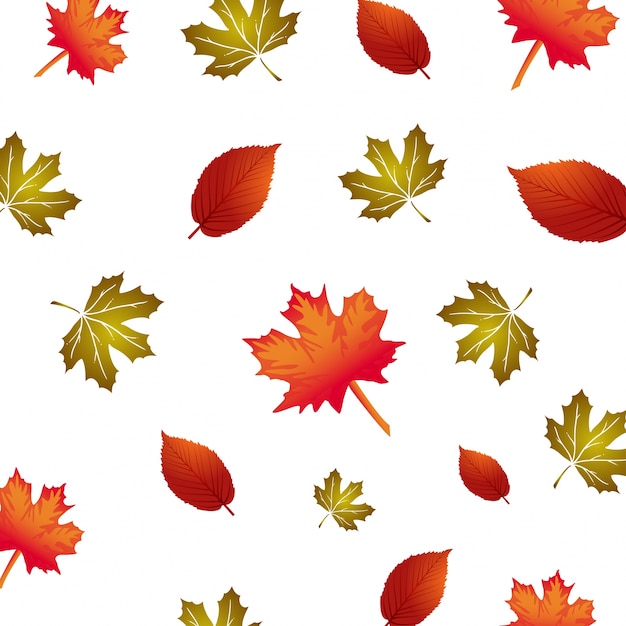 modèle vectoriel avec des feuilles d&#39;automne, fond floral, automne automne.