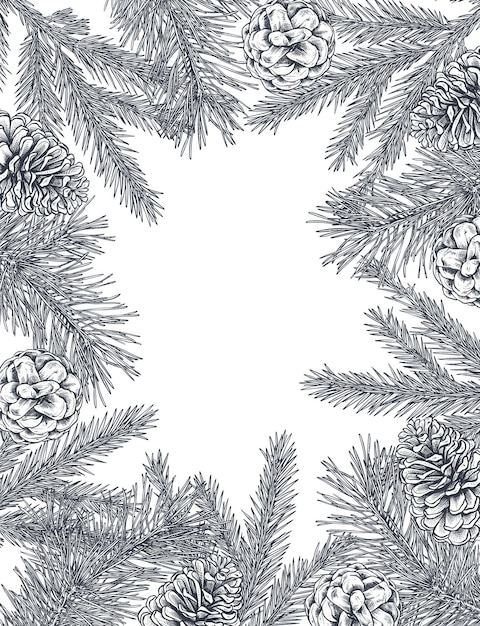 Modèle Vectoriel Pour Carte De Voeux De Noël Ou Invitation Avec Des Plantes D'hiver Dessinées à La Main Des Branches D'épinette Des Pommes De Pin