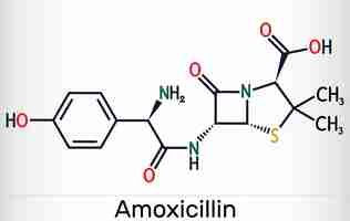 Vecteur molécule de médicament d'amoxicilline il s'agit de l'antibiotique bétalactam formule chimique squelettique