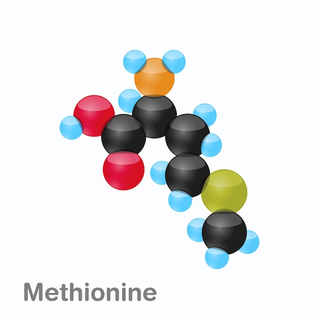 Molécule de méthionine Met un acide aminé utilisé dans la biosynthèse des protéines