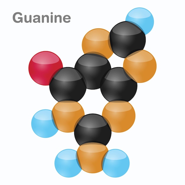 Molécule de nucléotide d'ADN de guanine HexNut et de base nucléique de pyrimidine Illustration 3D