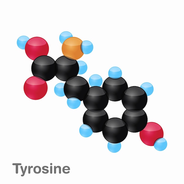 Molécule de tyrosine Tyr un acide aminé utilisé dans la biosynthèse des protéines
