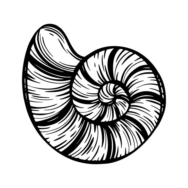 Mollusque ou escargot de coquillage marin noir pour la conception de textile en tissu d'invitation, etc.