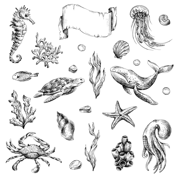 Vecteur monde sous-marin clipart avec des animaux marins baleine tortue poulpe cheval de mer étoile de mer coquilles de corail et