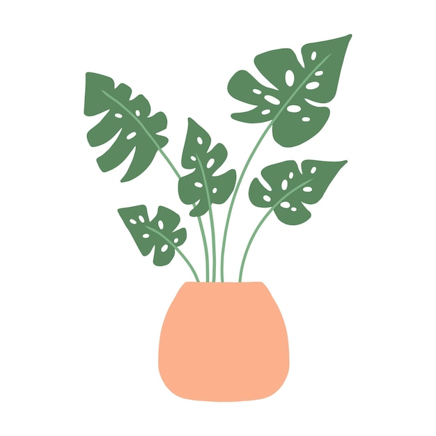 Monstera Dans Un Pot Plante D'intérieur Décoration D'intérieur Illustration Vectorielle Isolée Sur Fond Blanc Illustration Vectorielle