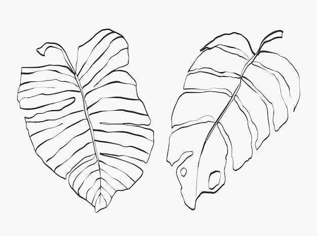 Monstera laisse art abstrait ligne de plantes moderne ou minimale parfaite pour la décoration intérieure telle