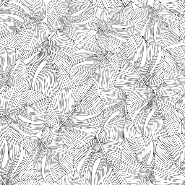 Monstera Monochrome Laisse Modèle Sans Couture