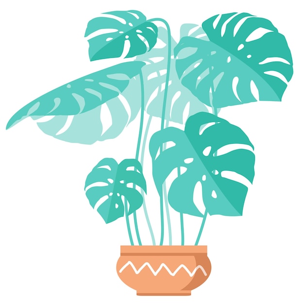Vecteur monstera plante en pot plante d'intérieur illustration vectorielle dessinés à la main maison plante d'intérieur isolée