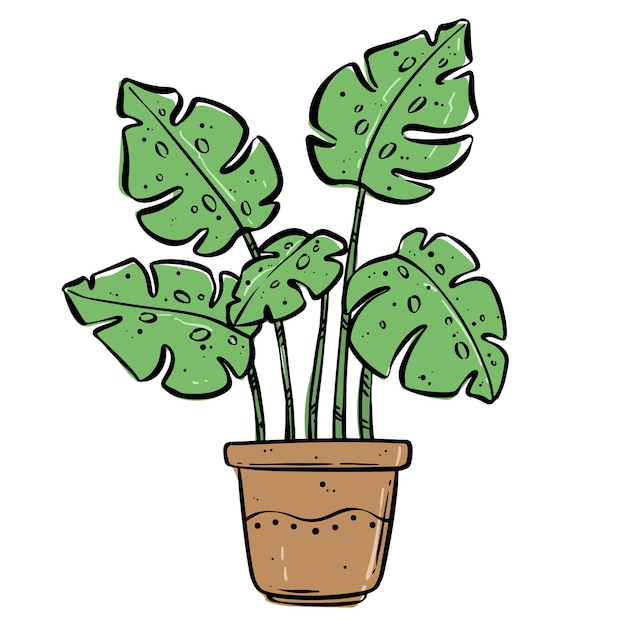 Vecteur monstera en pot avec style de dessin à la main feuilles d'été ou plante avec style de croquis coloré