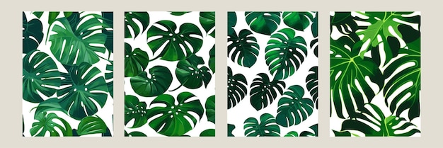 Vecteur monstera vert comme motif sur un motif exotique de fond blanc avec des feuilles tropicales ensemble d'illustrations vectorielles