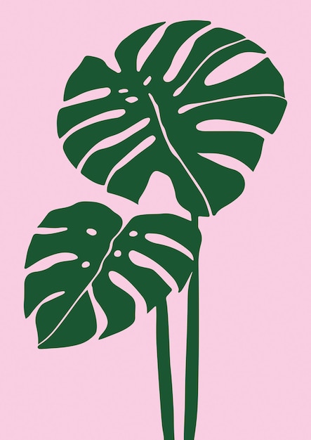 Monstera Vert Feuilles Art Fleur Tropicale Plante Monstera Minimaliste