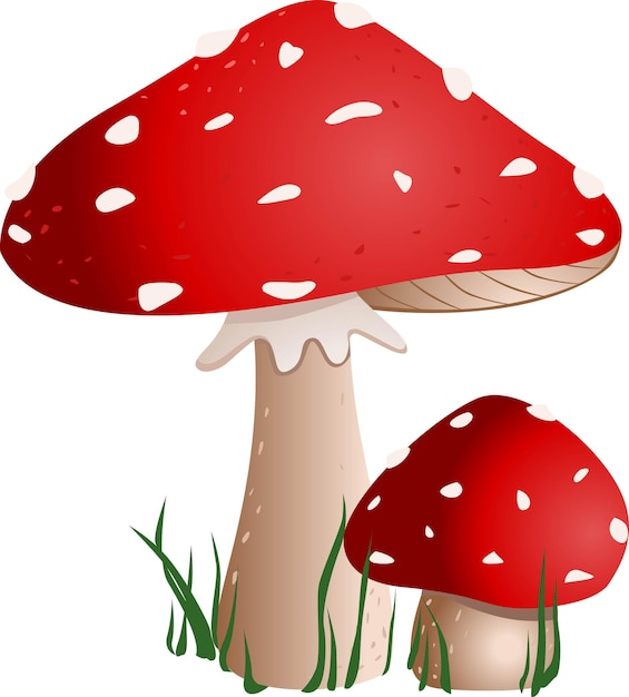 Mooshrooms D'agaric De Mouche Rouge Avec De L'herbe Isolée