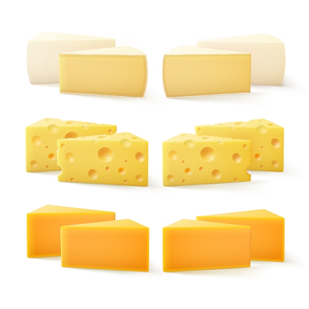 Morceaux triangulaires de divers types de fromage cheddar suisse Bri Camembert
