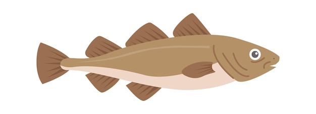 morue, poisson mer, vecteur, illustration