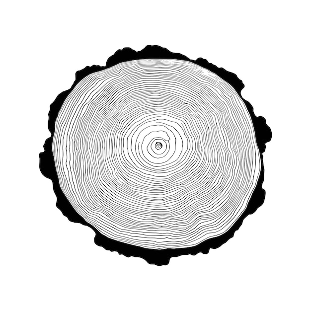 Vecteur motif d'anneaux d'arbres d'illustration vectorielle de coupe de log