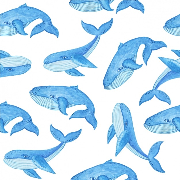 Motif aquarelle de baleines