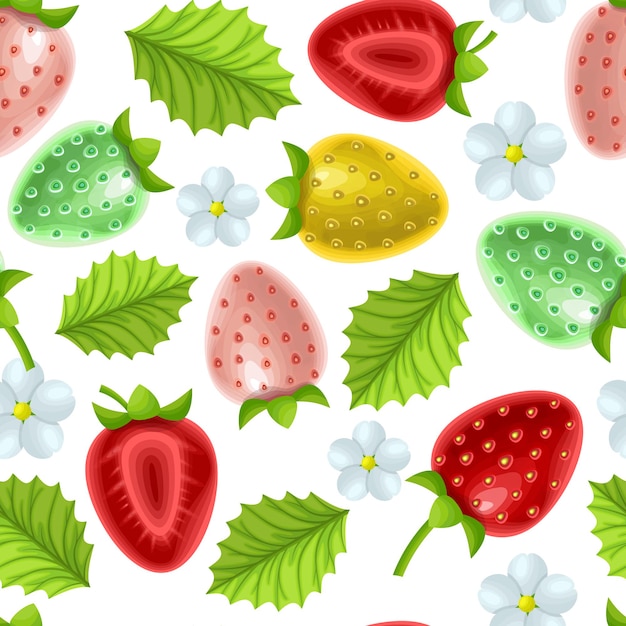 Motif Botanique Sans Fin Sans Couture Avec Des Fleurs Et Des Baies De Fraise Sur Blanc En Style Cartoon