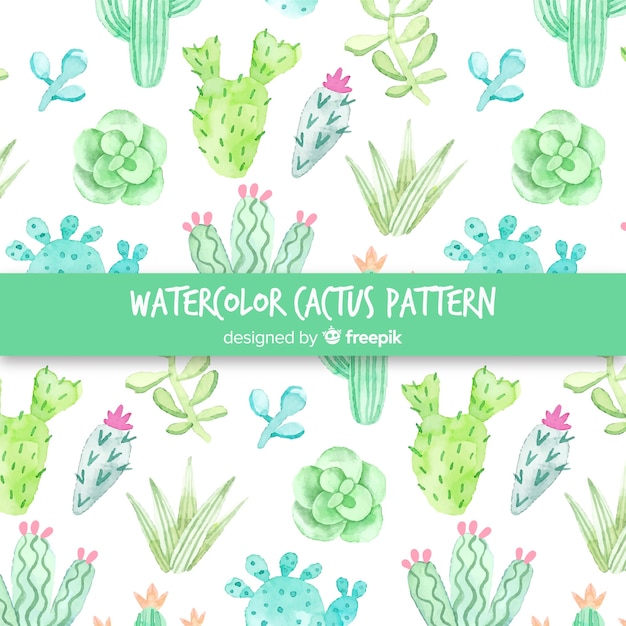 Motif De Cactus à L'aquarelle